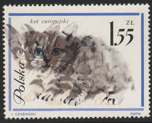 Fi. 1333 - Koty - makulatura - gwarancja Wysocki